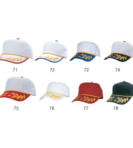 2단 칠각 장군수